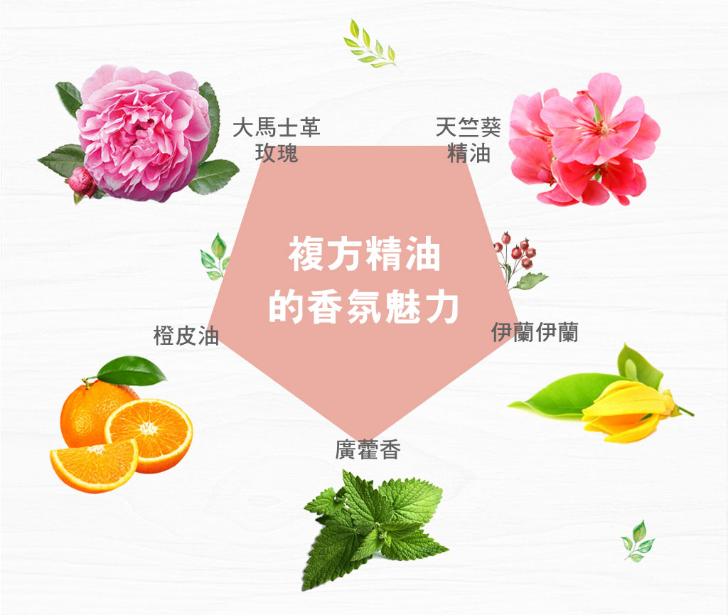 Is Lounge嗜香氛 輕舞玫瑰-玫瑰保濕修護洗髮 嚴選複方精油(大馬士革玫瑰、天竺葵精油、伊蘭伊蘭、廣藿香、橙皮油)