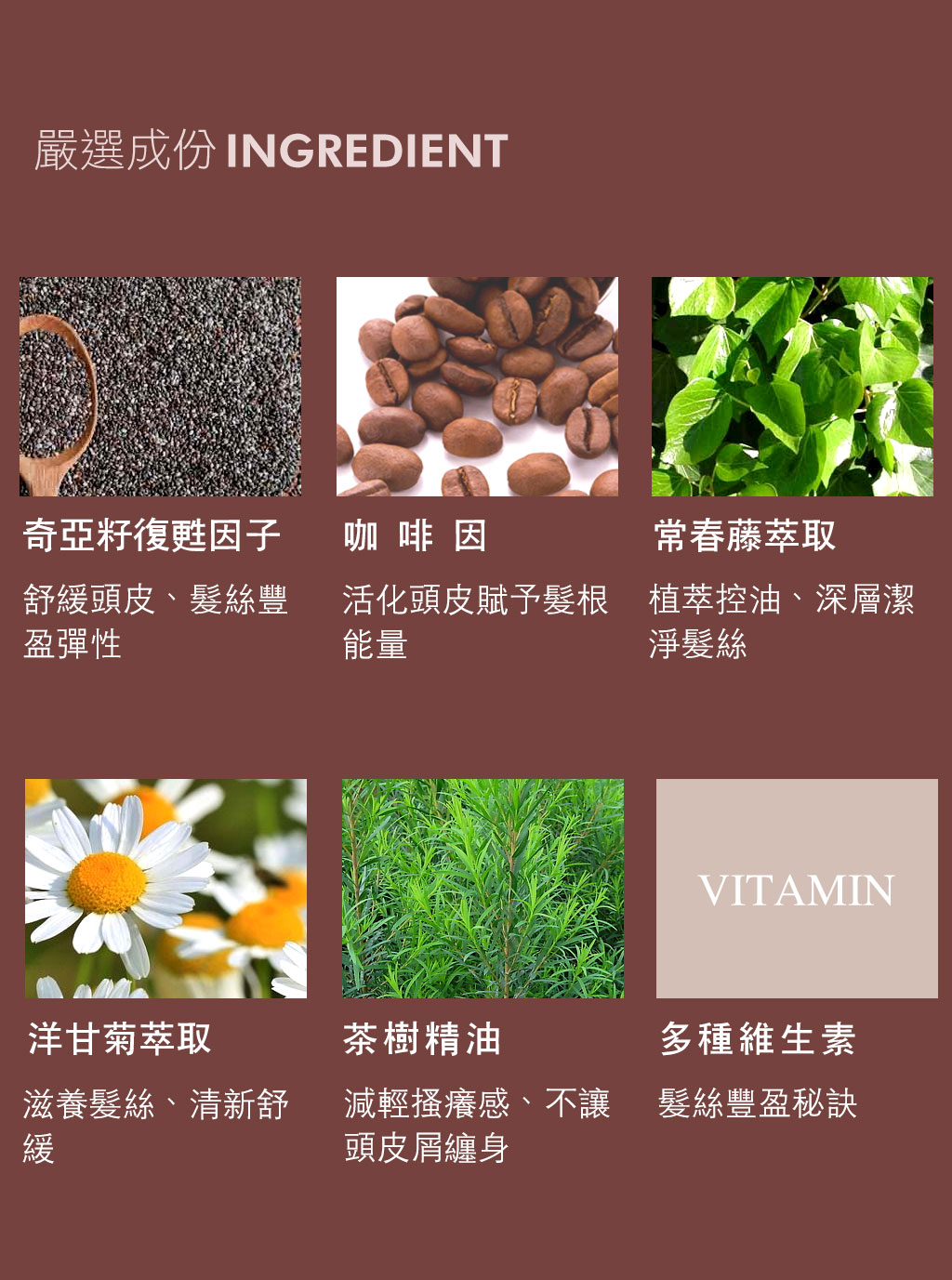 Is Lounge嗜香氛 微霧曙光-奇亞籽復甦因子豐盈髮霧(120ml) 耀眼成分(奇亞籽復甦因子、咖啡因、常春藤萃取、洋甘菊萃取、茶樹精油)